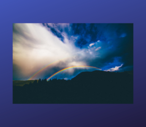 Signs From the Angels