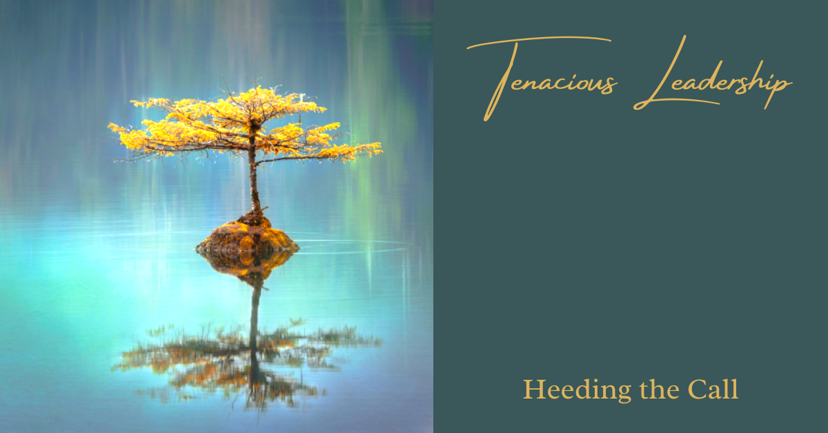 tenacious leadership