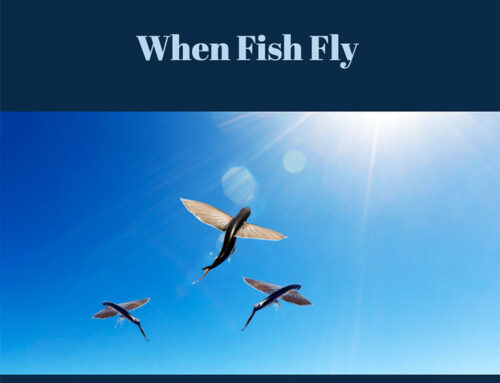 When Fish Fly