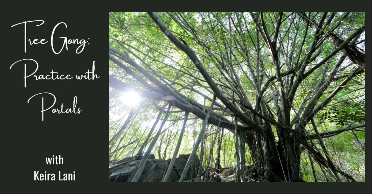 Practice with Portals