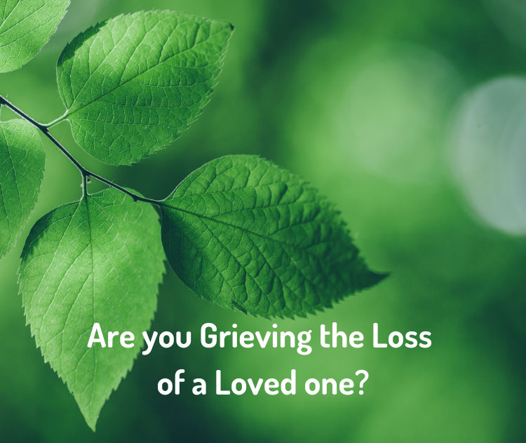 Are-You-Grieving-The-Loss-of-a-Loved-One