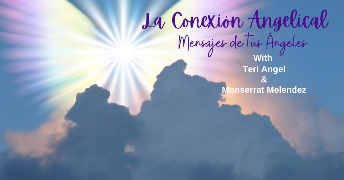 the angel connection