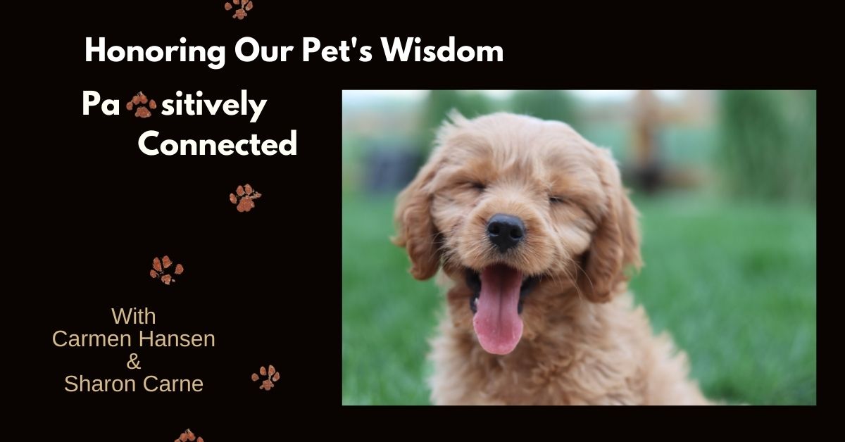 Honoring the Pets Wisdom